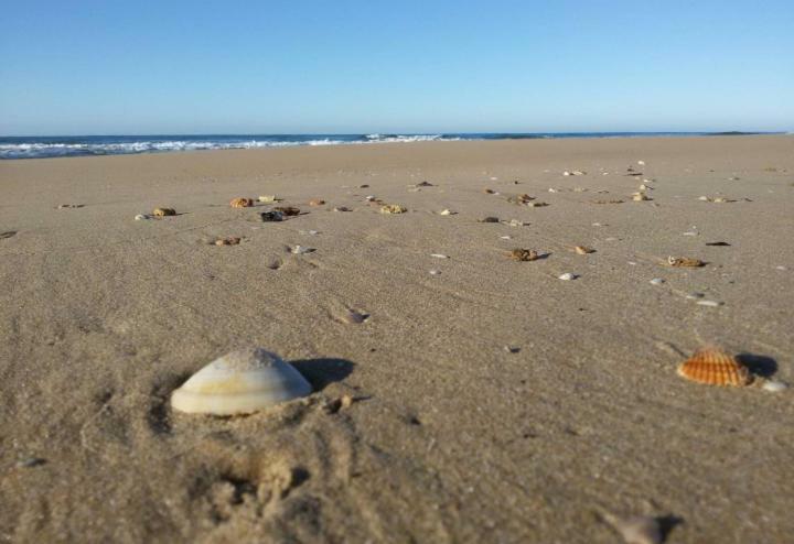 A Pozzallo Vicino Al Mareヴィラ エクステリア 写真